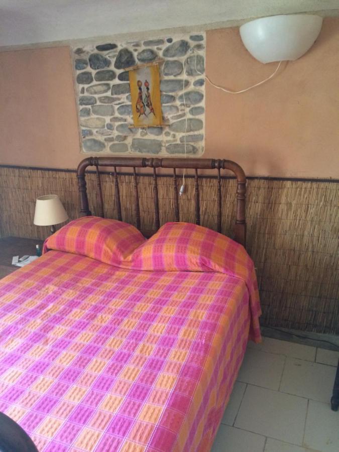 Casa Campo, Casa Rural Entre Jaca Y Anso Binies Bagian luar foto