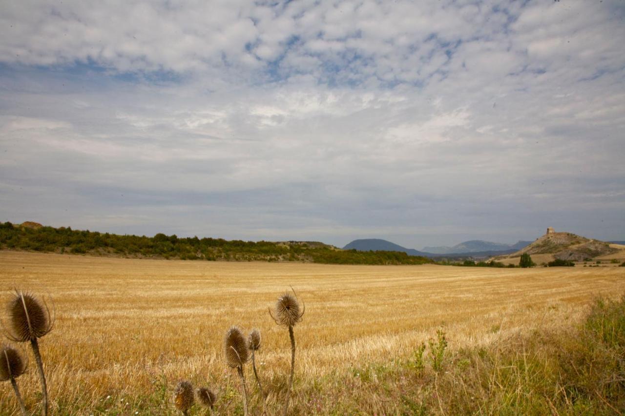 Casa Campo, Casa Rural Entre Jaca Y Anso Binies Bagian luar foto