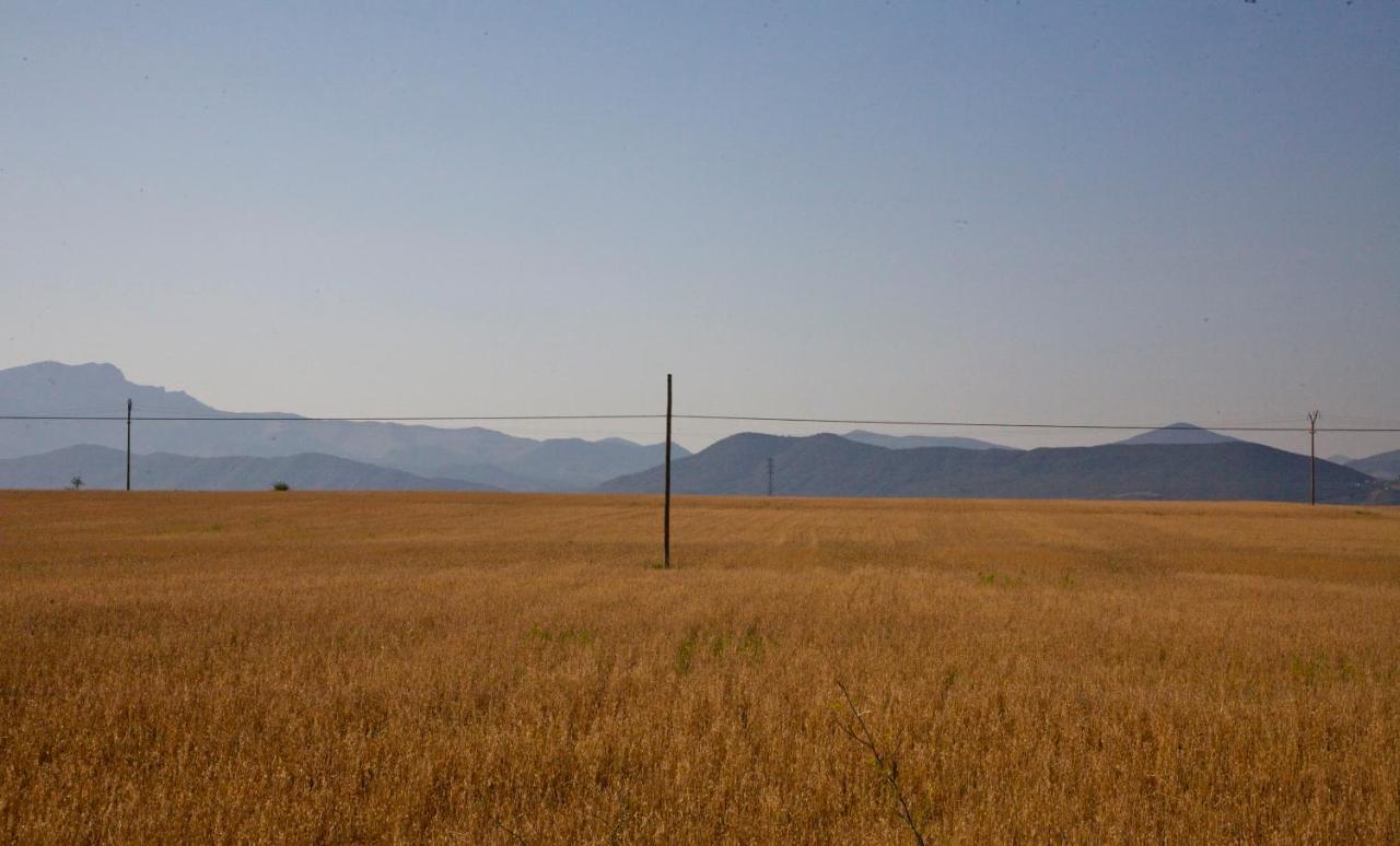 Casa Campo, Casa Rural Entre Jaca Y Anso Binies Bagian luar foto